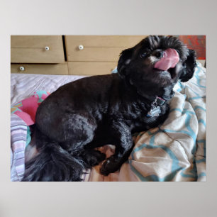 Póster Parpadeo de la lengua