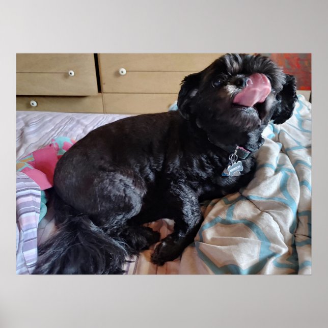 Póster Parpadeo de la lengua (Frente)