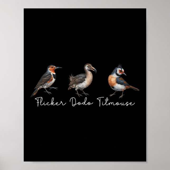 Póster Parpadeo Dodo Titmouse Funny Bird Clever Birdwatch (Frente)
