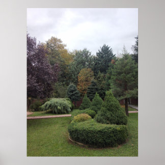 Póster Parque