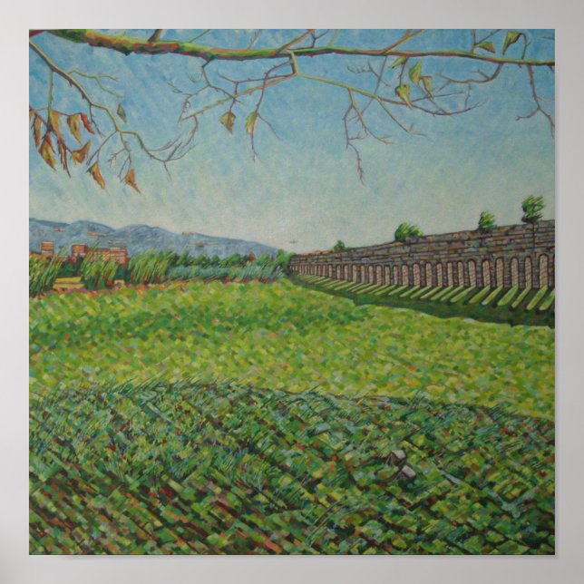 Póster Parque acuático 2011 (Frente)