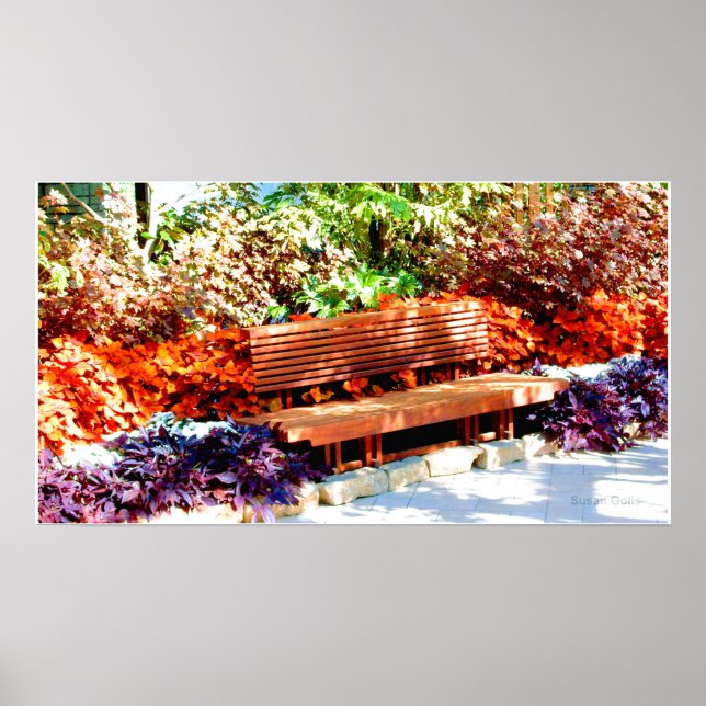 Póster Parque Bench en el Poster Jardín Botánico (Frente)