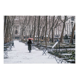 Póster Parque Bryant Nieve