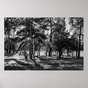 Póster Parque Bute en una tarde de verano. Cardiff, Gales