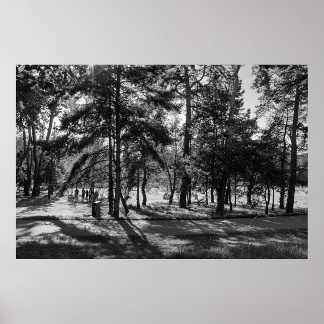 Póster Parque Bute en una tarde de verano. Cardiff, Gales (Frente)