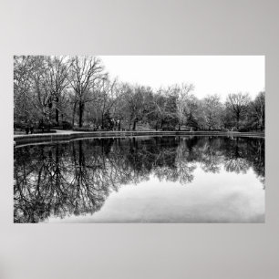 Póster Parque Central de Invierno, Paisaje NYC