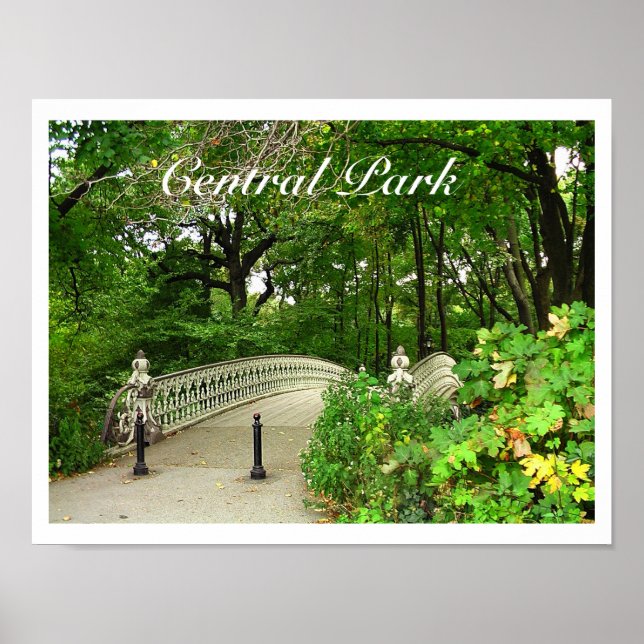 Póster Parque Central del Puente del Reservorio Suroeste, (Frente)