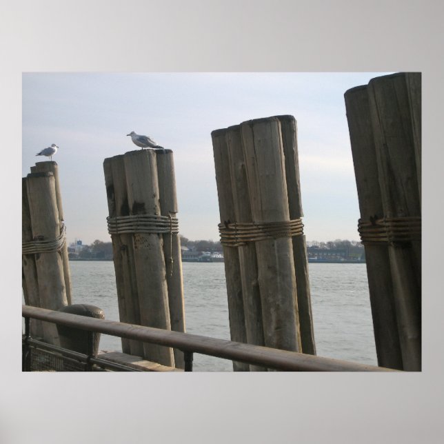 Póster Parque de baterías - Nueva York (Frente)