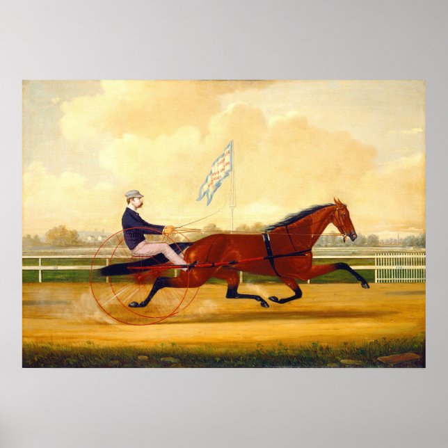 Póster Parque de conducción de Belmont - Poster Bella Art (Frente)