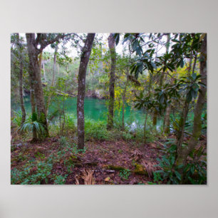 Póster Parque de estado de Blue Springs, la Florida