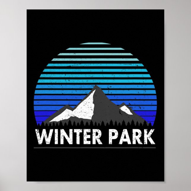 Póster Parque de Invierno Colorado Bluebird Mountain (Frente)