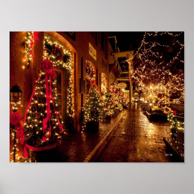 Póster parque de invierno, florida (Frente)