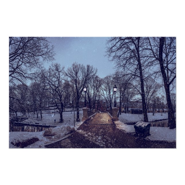 Póster Parque de la ciudad nevada de invierno por la noch (Anverso)