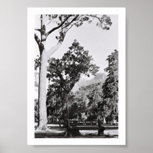 Póster Parque de la Naturaleza de Ciudad del Cabo Montaña