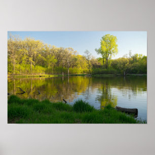Póster Parque de los bosques frondosos y de estanques