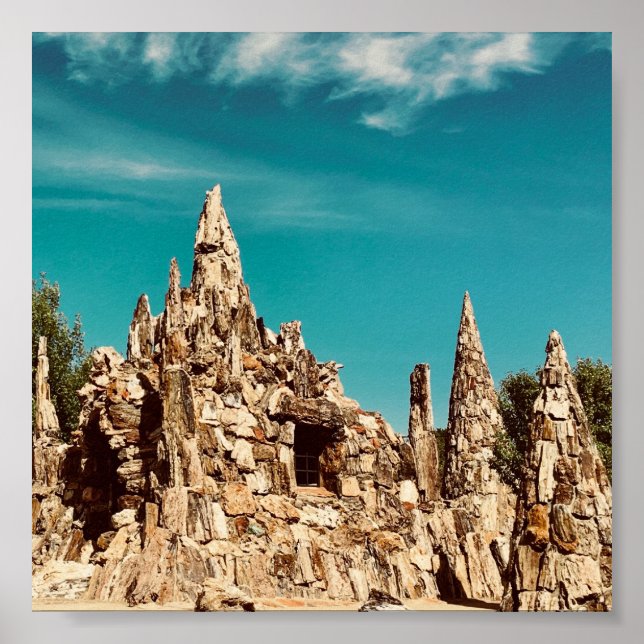 Póster parque de madera petrificada (Frente)