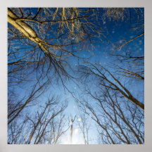 Parque de metro Scioto Grove, Grove City, Ohio