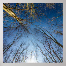 Póster Parque de metro Scioto Grove, Grove City, Ohio