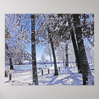 PÓSTER "PARQUE DE OLANDER EN NIEVE"