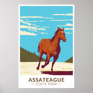 Póster Parque estatal Assateague Maryland