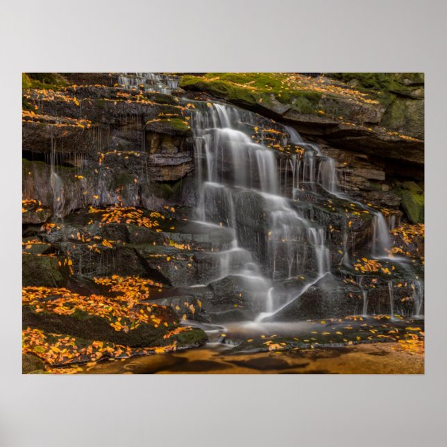 Póster Parque Estatal Blackwater Falls (Frente)