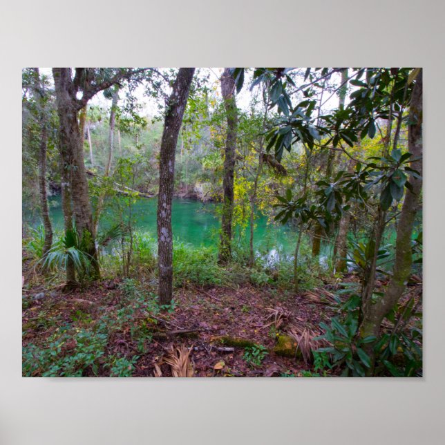 Póster Parque Estatal Blue Springs, Florida (Frente)