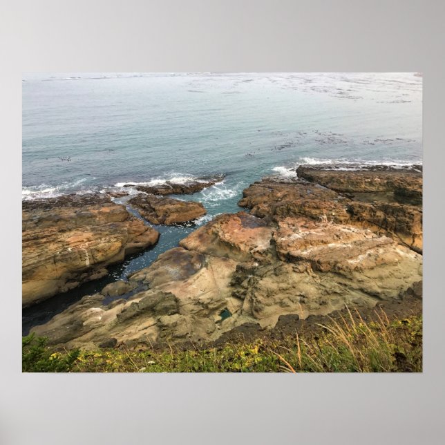 Póster Parque Estatal Cape Arago, Costa de Oregón (Frente)