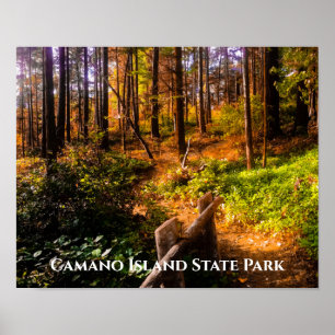 Póster Parque estatal de la isla de Camano en otoño