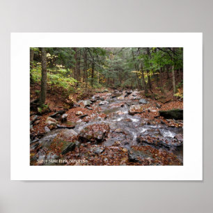 Póster Parque Estatal de la Montaña de Saboya Berkshires