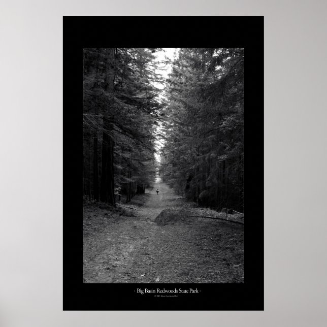 Póster Parque estatal de las secuoyas del Gran Cuenca (Frente)