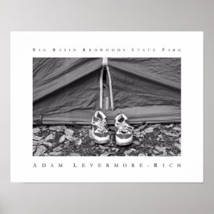 Póster Parque estatal de las secuoyas del Gran Cuenca