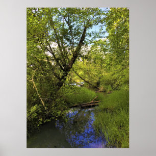 Póster Parque Estatal Elijah Bristow, Dexter, Oregón