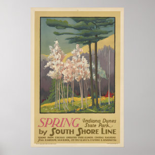 Póster Parque Estatal Indiana Dunes Viaje Primaveral Anti