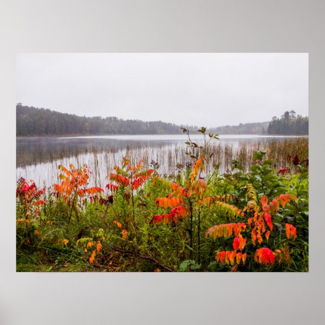 Póster Parque estatal Itasca | Minnesota (Frente)