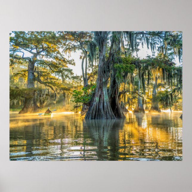 Póster Parque estatal Lake Fausse Pointe (Frente)