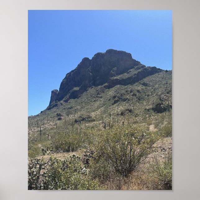 Póster Parque estatal Picacho, en el desierto del Arizona (Frente)