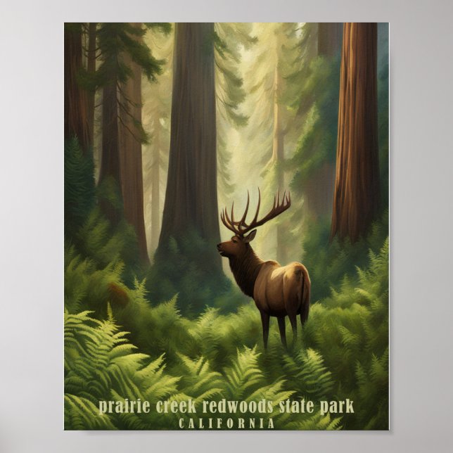 Póster parque estatal prairie creek redwoods (Frente)