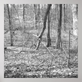 Póster Parque estatal Ridley Creek