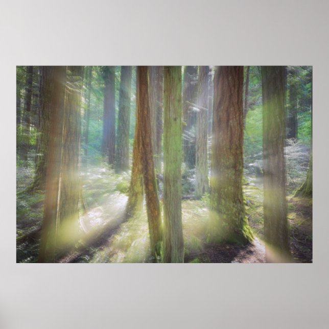 Póster Parque Estatal Scenic Beach (Frente)