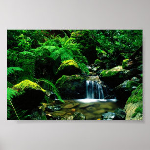 Póster Parque Estatal Tamalpais, CA