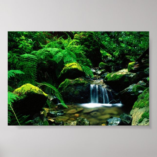 Póster Parque Estatal Tamalpais, CA (Frente)