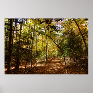 Póster Parque Greenbelt en el paisaje del otoño I de Mary
