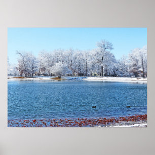 PÓSTER PARQUE LAGO Y LAGO/NIEVE "BLANCO INVIERNO" RECUBIE