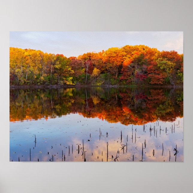 Póster parque marthaler otoño y reflejos de estanque (Frente)