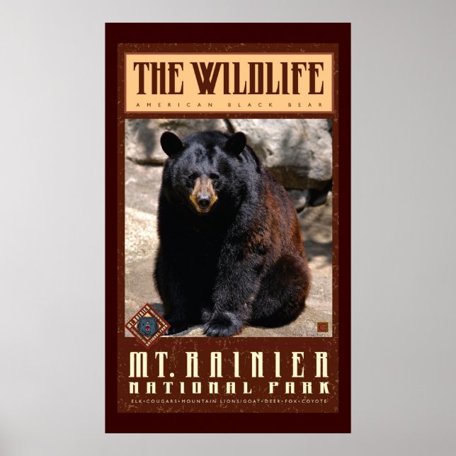 Póster Parque Mount Rainier Nat'l (Frente)