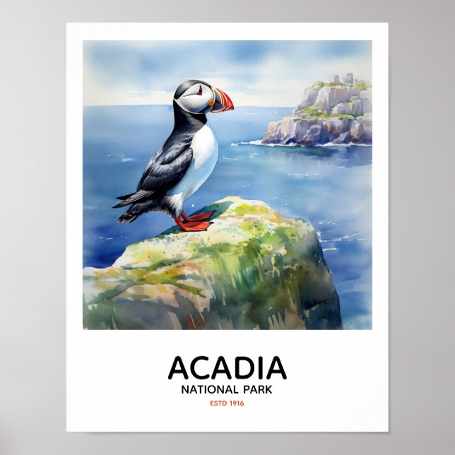 Póster Parque nacional Acadia - Aleta de Puffin (Frente)