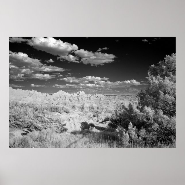 Póster Parque nacional Badlands (Frente)