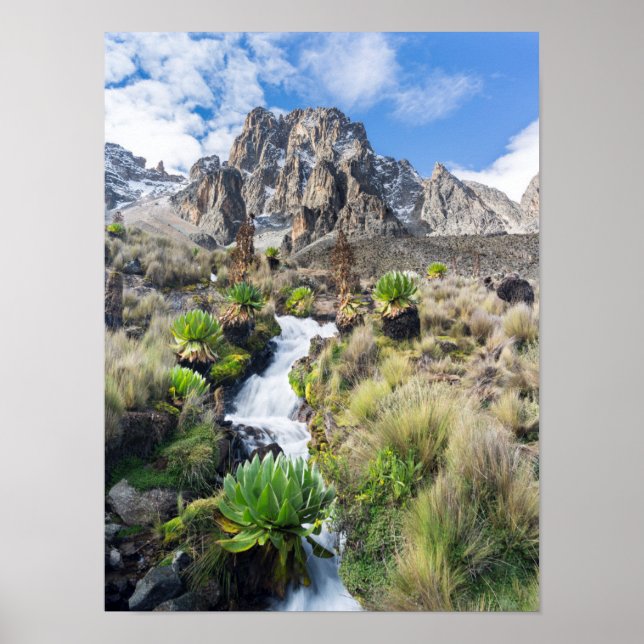 Póster Parque Nacional Central del Monte Kenya (Frente)