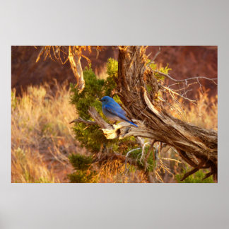 Póster Parque nacional de Arches