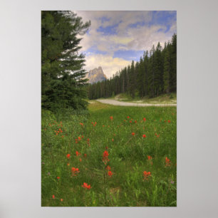 Póster Parque nacional de Banff